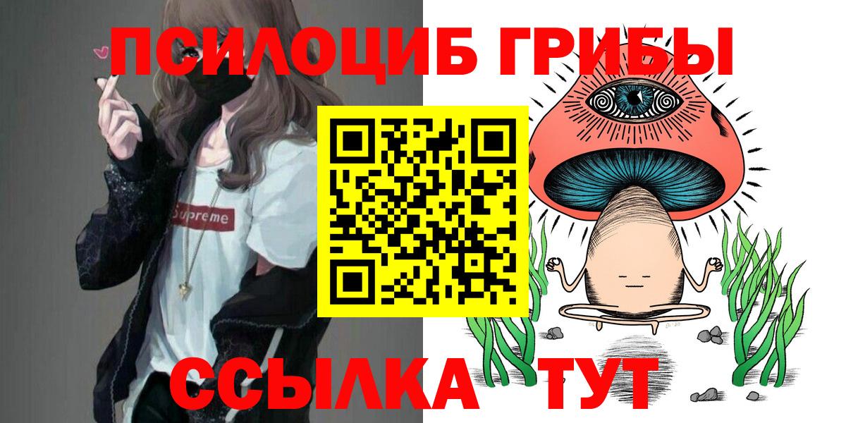 Галлюциногенные грибы мухоморы Норильск