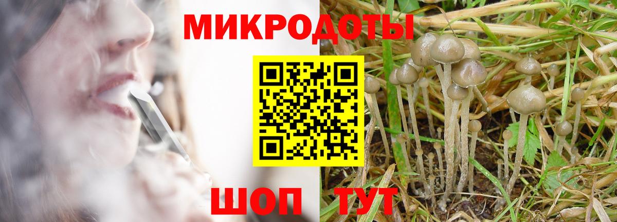Норильск  Псилоцибиновые грибы GOLDEN TEACHER  Вход с VPN  Галлюциногенные грибы MAGIC MUSHROOMS 